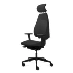 Ergonominė biuro kėdė Gabri Executive