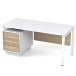 Darbuotojo darbo stalas Promo T26 - Image 5