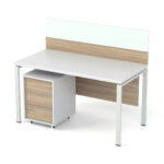 Darbuotojo darbo stalas Promo T10P