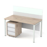 Darbuotojo darbo stalas Promo T10P-S