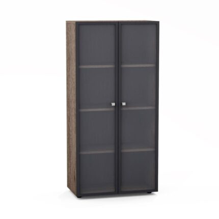 Biuro dokumentų spinta su stiklu Promo 29/513S