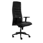 Ergonominė biuro kėdė Acro Executive 2