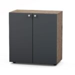 Pastatoma biuro spintelė 29/503S - Image 7