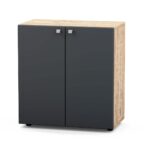 Pastatoma biuro spintelė 29/503S - Image 4