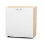 Pastatoma biuro spintelė 29/503S - Image 3