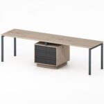 dvigubas rašomasis stalas